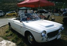 FIAT�P�Q�O�O�X�p�C�_�[
